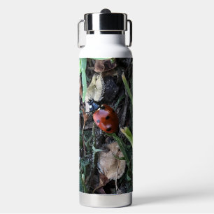 Lady Bug Water Bottle