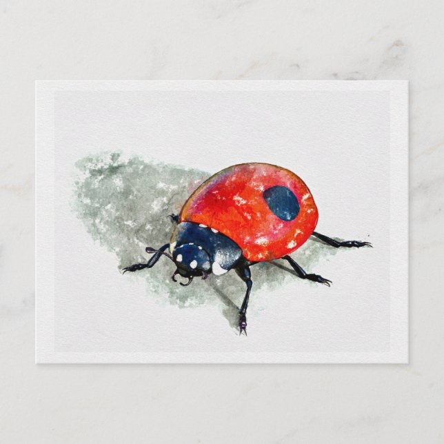 Lady Bug Watercolor Postcard (Front)