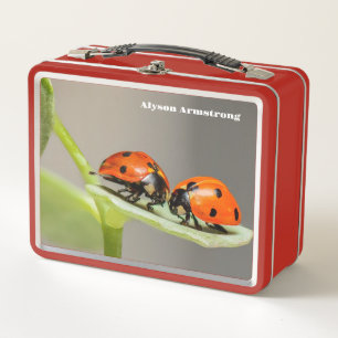 Lady Bugs Metal Lunch Box