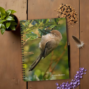 Lady Bushtit on the California Lilac Bush Notebook