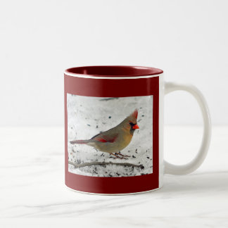 Lady Cardinal in Snow Mug