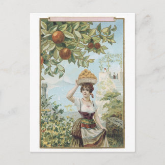 Lady Carrying Fruit Postcard