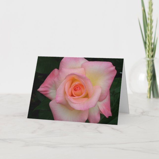 Lady Di Rose Card (Front)