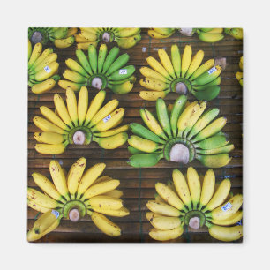 Lady Finger Bananas ~ Egg Banana (กล้วยไข่) Magnet