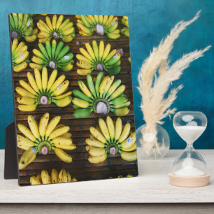 Lady Finger Bananas ~ Egg Banana (กล้วยไข่) Plaque