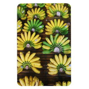 Lady Finger Bananas ~ Egg Banana (กล้วย Magnet