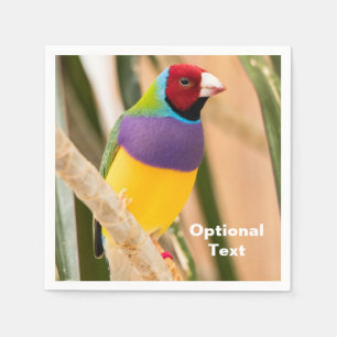 Lady Gouldian Finch Napkin