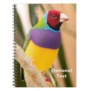 Lady Gouldian Finch Notebook