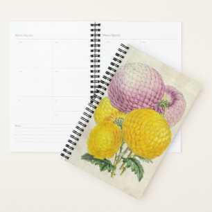 Lady Hardinge & Little Harry Chrysanthemums Planner