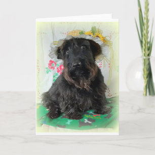 Lady in a Hat Note Card
