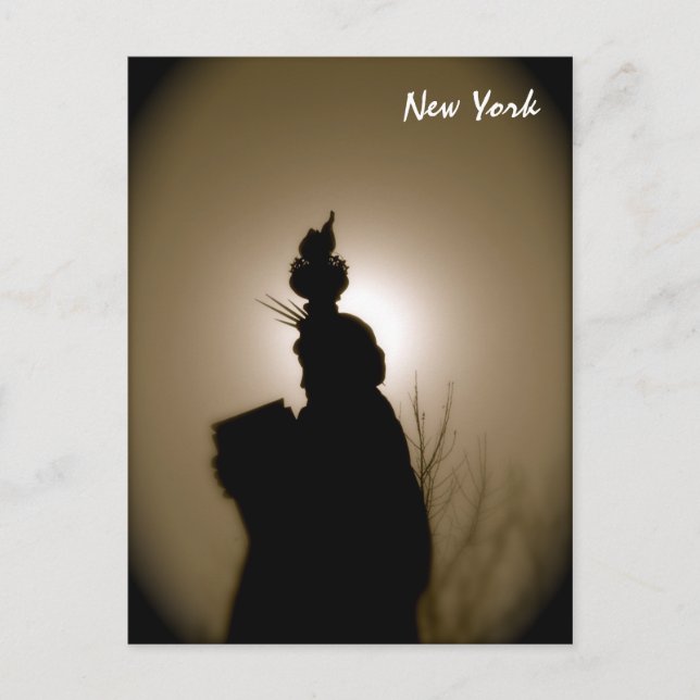 Lady Liberty in All Her Glory Postcard (Front)