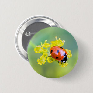 lady on top 6 cm round badge