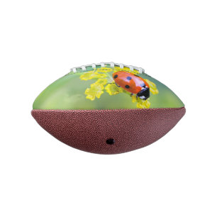 lady on top football
