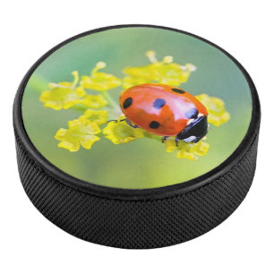 lady on top hockey puck