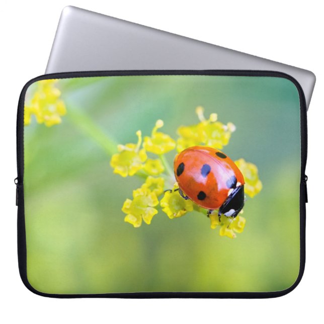 lady on top laptop sleeve (Front)
