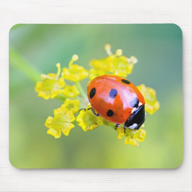 lady on top mouse pad (Front)