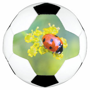 lady on top soccer ball