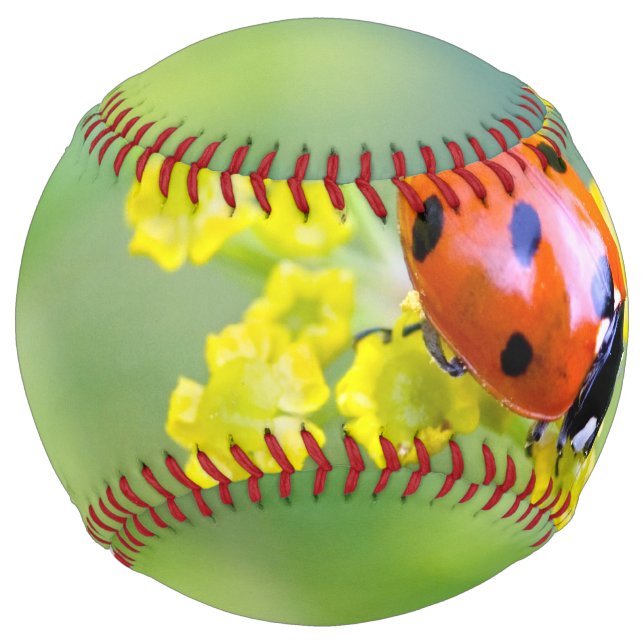 lady on top softball (Front)