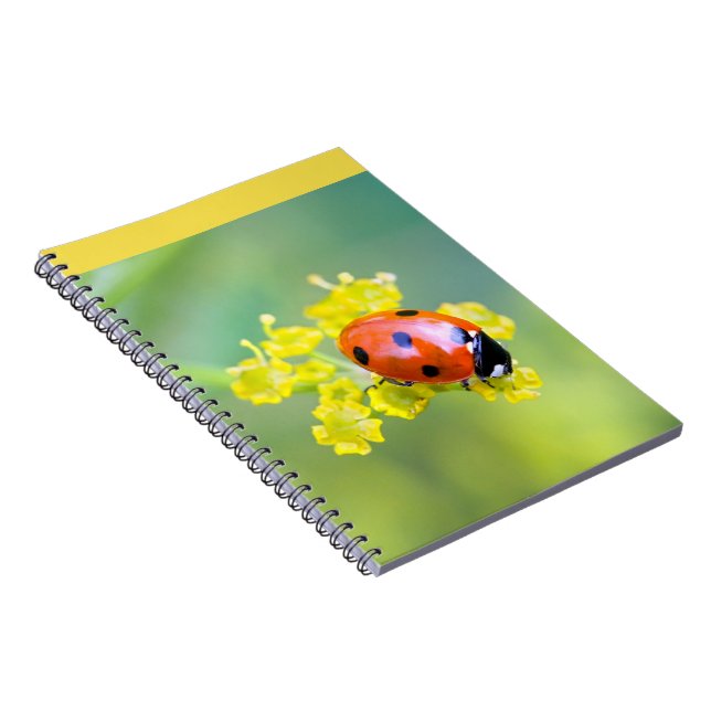 lady on top spiral notebook (Right Side)