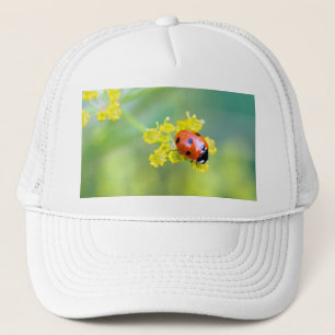 lady on top trucker hat