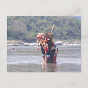 Lady Padaung Postcard