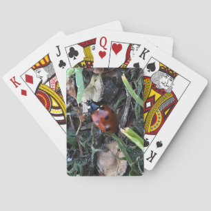 Lady Playing Cards