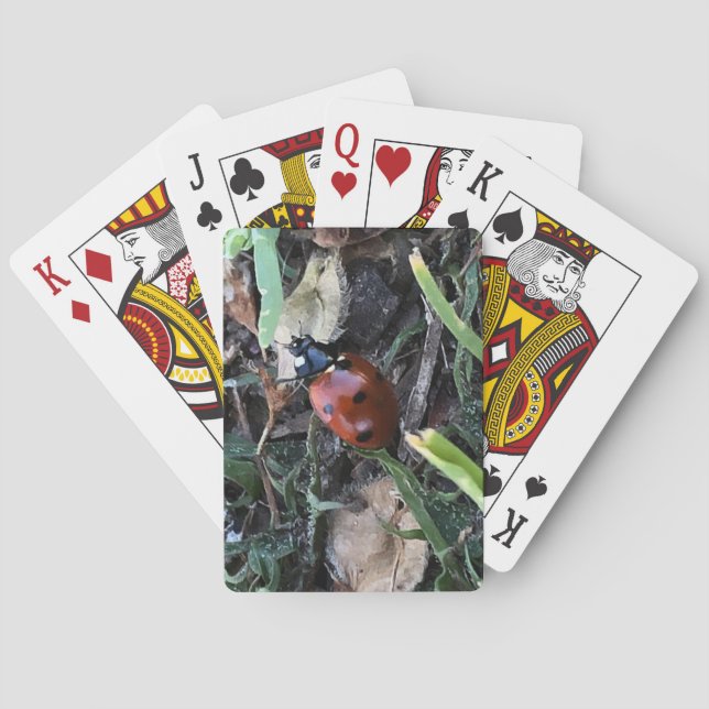 Lady Playing Cards (Back)