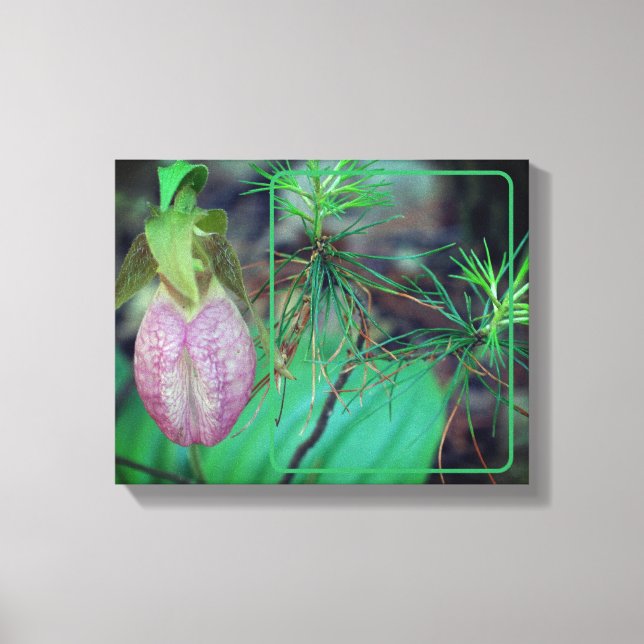 Lady Slipper Orchid Create Your Own Photo Canvas Print (Front)