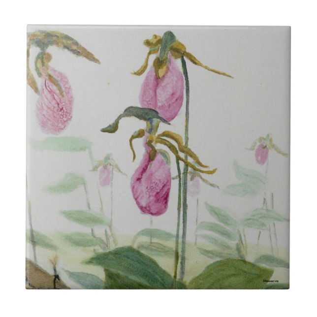 Lady Slipper Trivit Tile (Front)