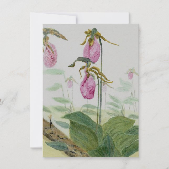 Lady Slippers Flat Card (Front)