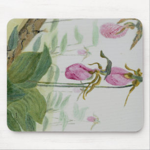 Lady Slippers Mouse Pad