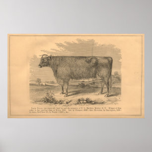 Lady Susan, First Prize Cow at Utica, 1863 Poster