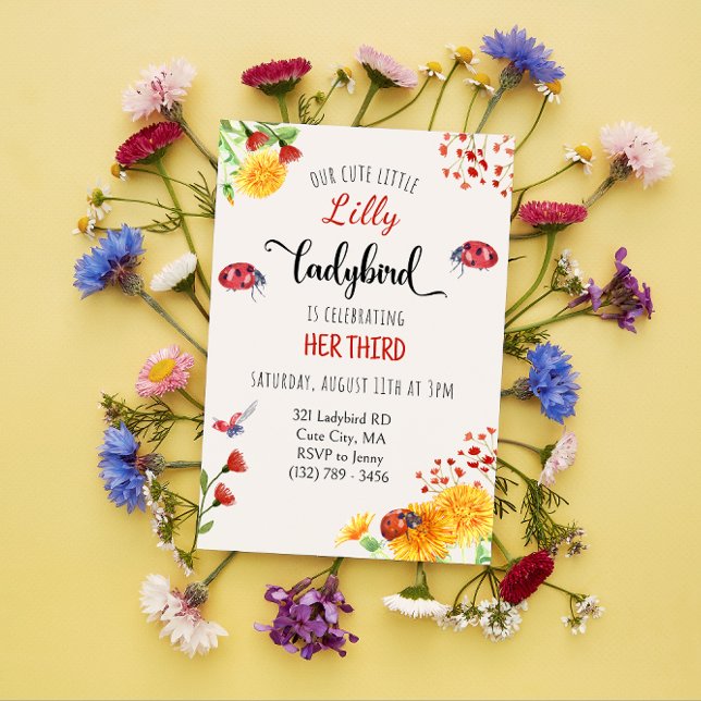 Ladybird Baby Girl Cute Spring Summer Birthday Invitation (Creator Uploaded)