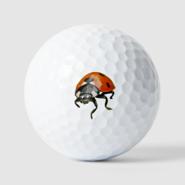 Ladybird Golf Balls (Front)