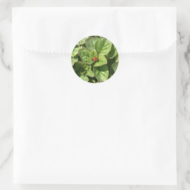 Ladybird in the Park Classic Round Sticker (Bag)