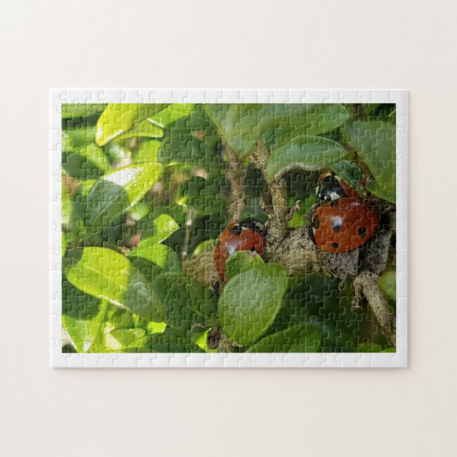 Ladybird Jigsaw Puzzle (Horizontal)