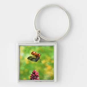 ladybird key ring