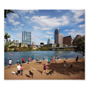 Ladybird Lake Dog Park Austin Texas Skyline Photo Print