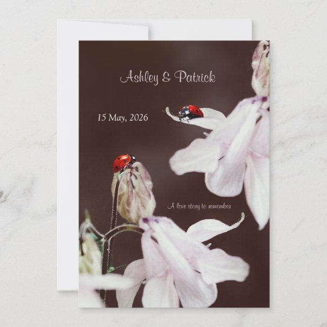 Ladybird Love  Wedding Invitation (Front)