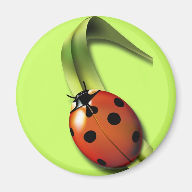 Ladybird Magnet (Front)