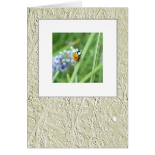 Ladybird on a stalk