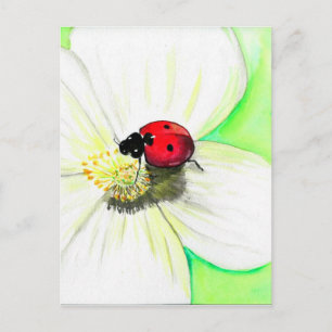 Ladybird on a White Flower Painting Postcard