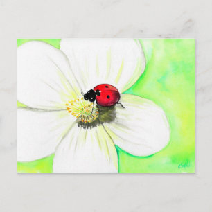 Ladybird on a White Flower Painting Postcard