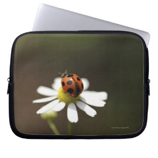 Ladybird on Chamomile Flower Laptop Sleeve