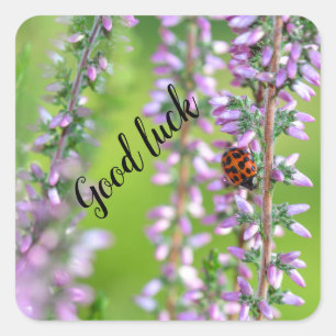Ladybird on flower   -    square sticker