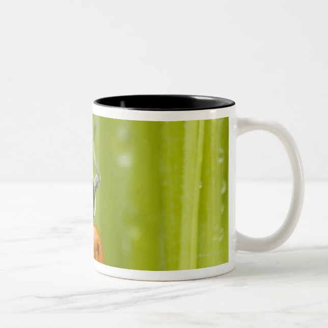 Ladybird on grass, close-up Two-Tone coffee mug (Right)