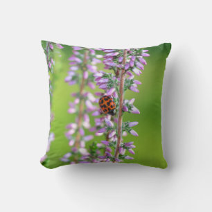Ladybird on purple flowers  cushion