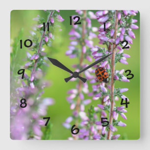 Ladybird  on purple flowers  square wall clock