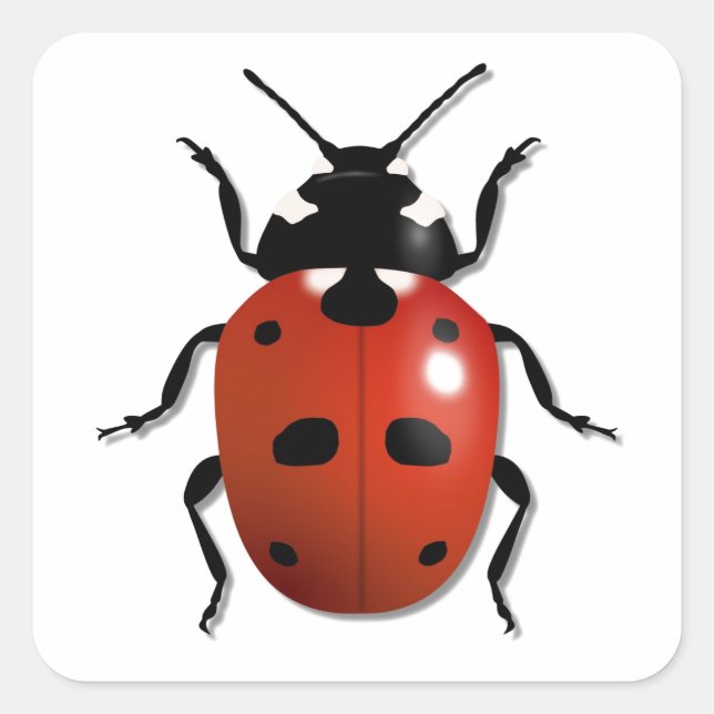 Ladybird Square Sticker (Front)