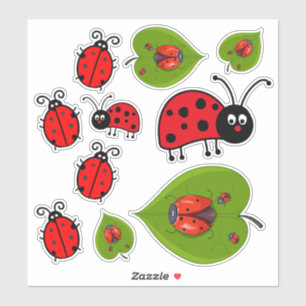 Ladybug